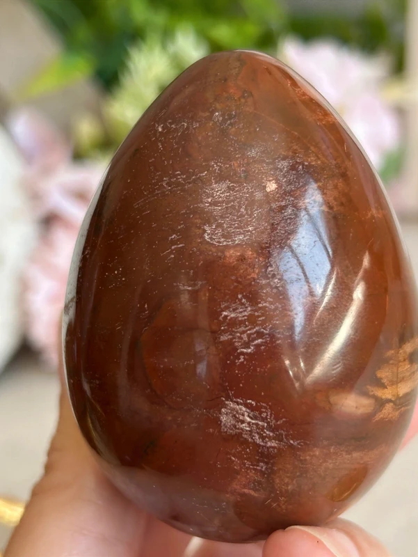 Petrified Wood Egg 🪵 fossil wood natural