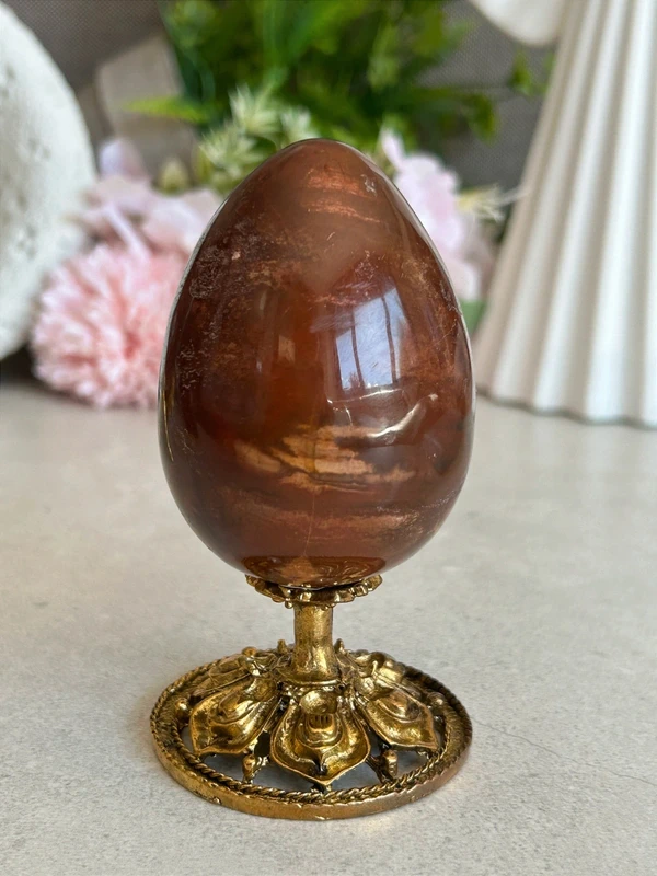 Petrified Wood Egg 🪵 fossil wood natural