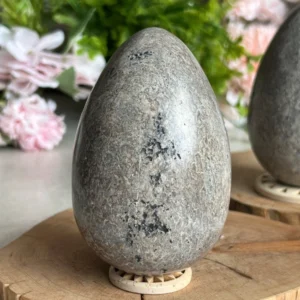 Dinosaur Egg Stone · huevo Jurassic natural