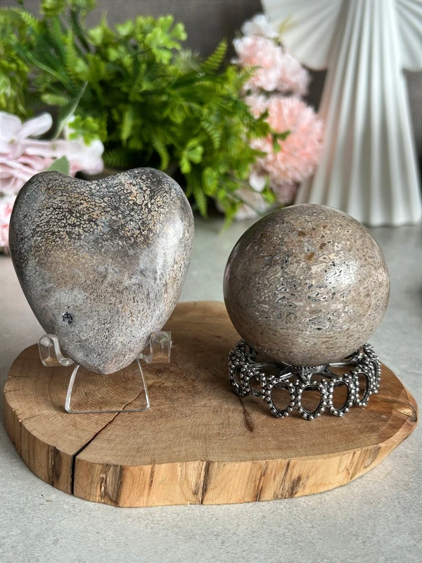 Corazón Dinosaur Stone 🦖 jurassic natural