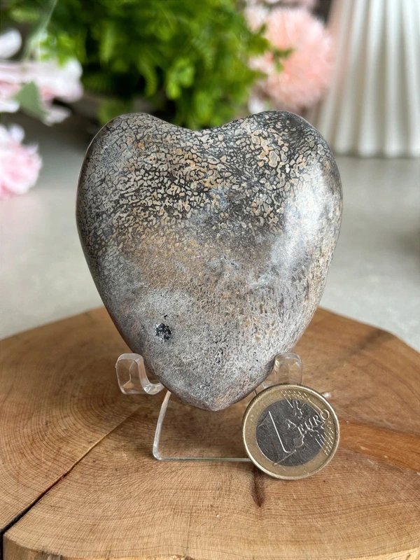 Corazón Dinosaur Stone 🦖 jurassic natural