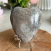 Corazón Dinosaur Stone 🦖 jurassic natural
