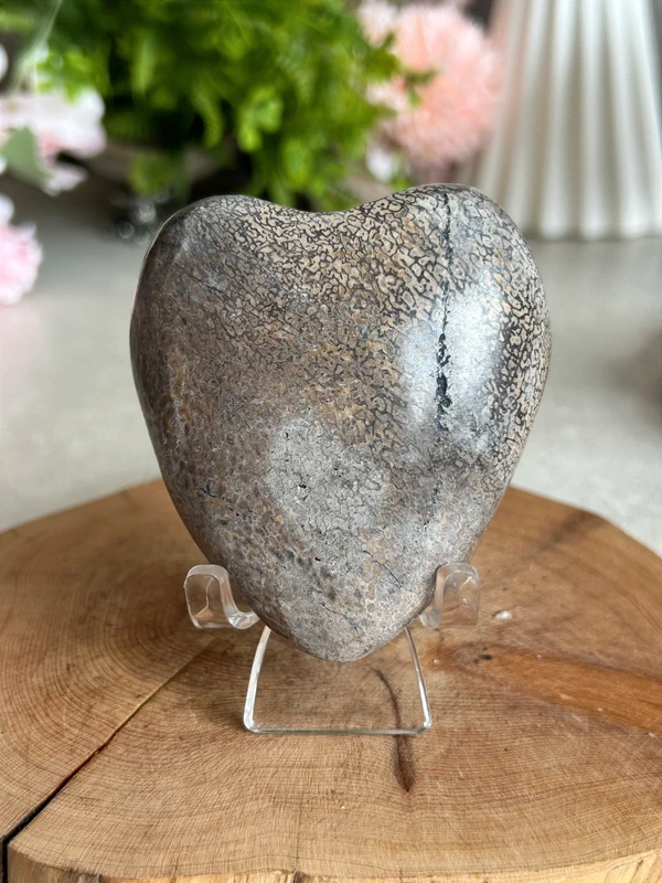 Corazón Dinosaur Stone 🦖 jurassic natural