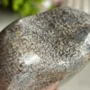 Corazón Dinosaur Stone 🦖 jurassic natural