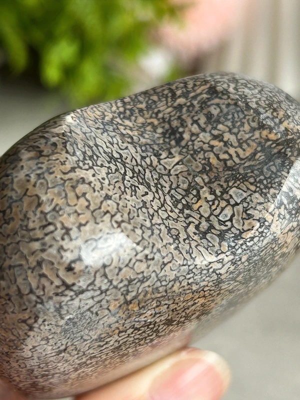 Corazón Dinosaur Stone 🦖 jurassic natural
