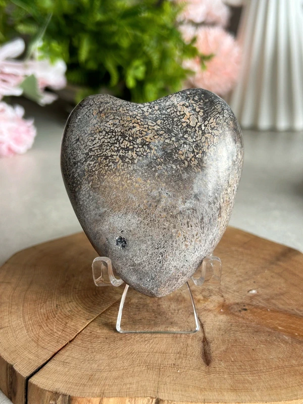 Corazón Dinosaur Stone 🦖 jurassic natural