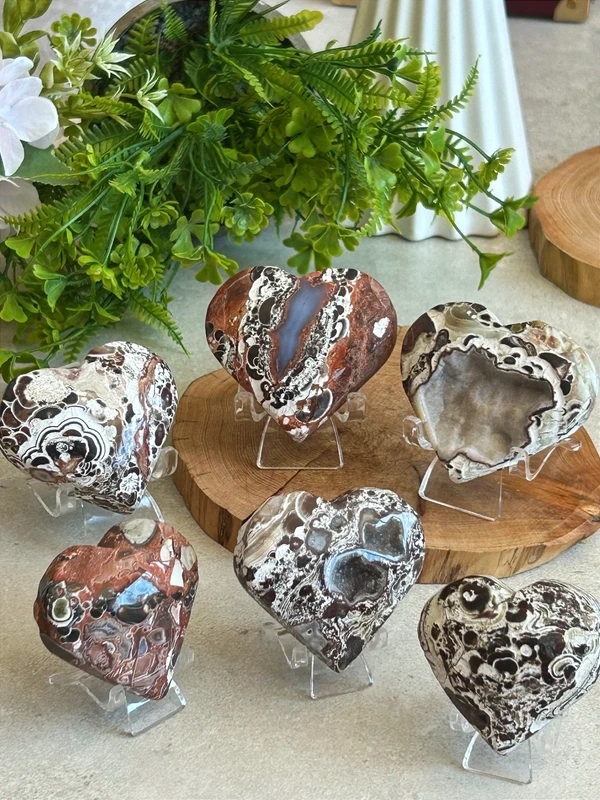 Natural Money Agate · Thick and solid core