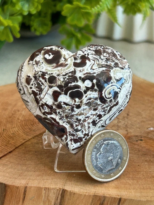 Natural Money Agate · Thick and solid core