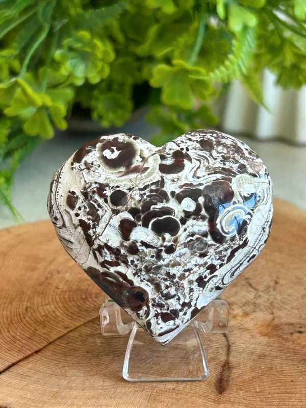 Natural Money Agate · Thick and solid core