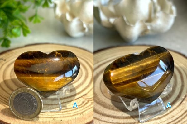 Natural Tiger's Eye · Golden Cat's Eye Reflection · Crystal for Protection, Decoration, and Collecting