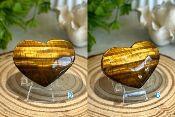 Natural Tiger's Eye · Golden Cat's Eye Reflection · Crystal for Protection, Decoration, and Collecting