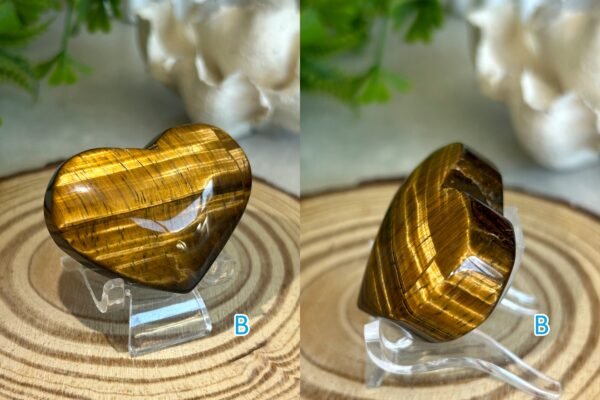 Natural Tiger's Eye · Golden Cat's Eye Reflection · Crystal for Protection, Decoration, and Collecting
