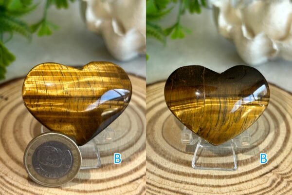 Natural Tiger's Eye · Golden Cat's Eye Reflection · Crystal for Protection, Decoration, and Collecting