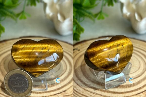 Natural Tiger's Eye · Golden Cat's Eye Reflection · Crystal for Protection, Decoration, and Collecting