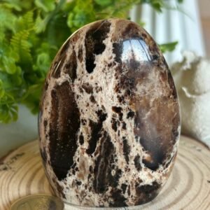 Decorative natural brown opal