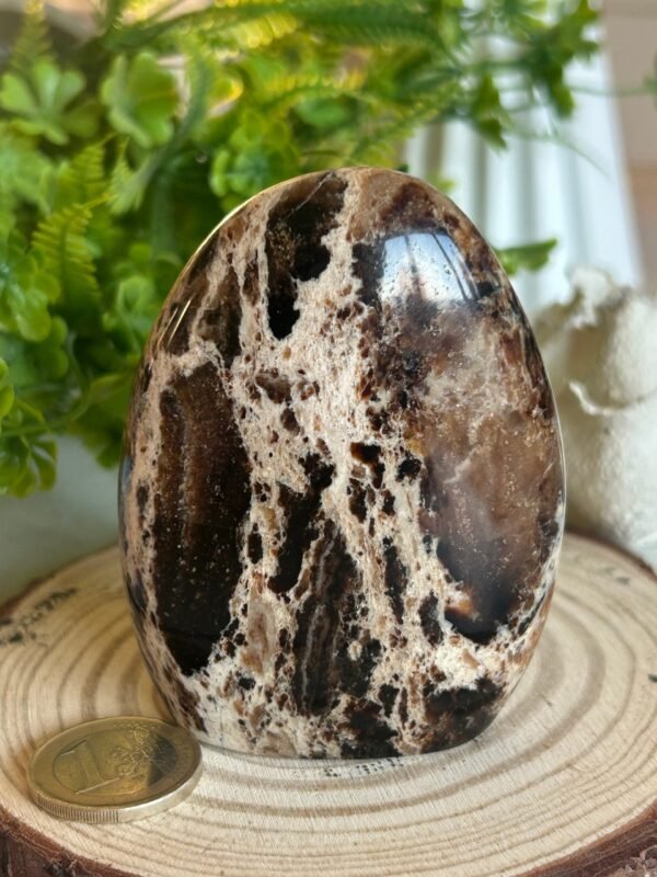 Decorative natural brown opal