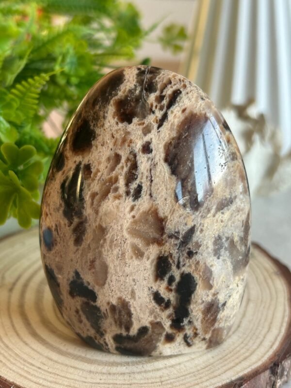 Decorative natural brown opal