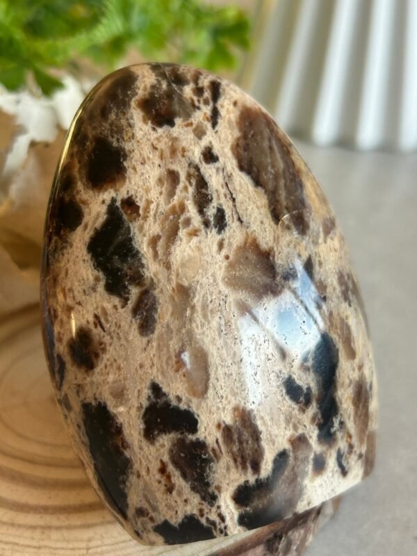 Decorative natural brown opal