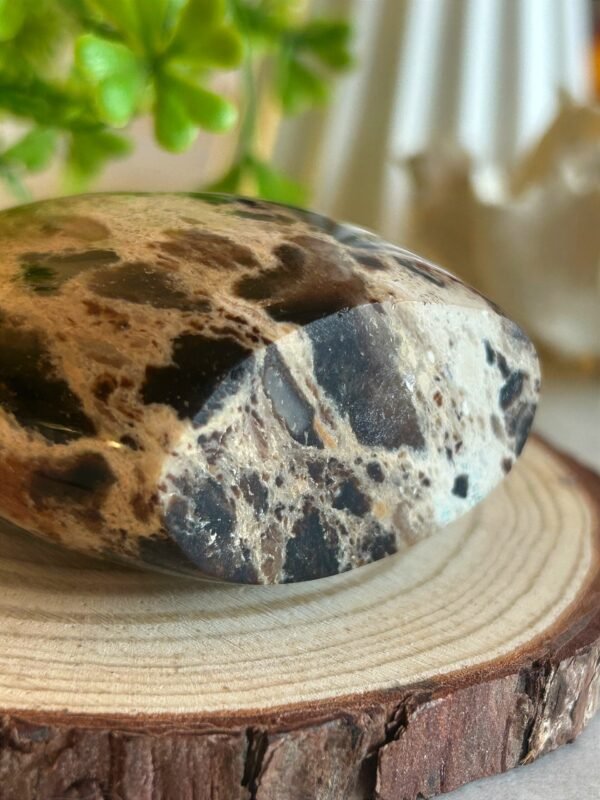 Decorative natural brown opal