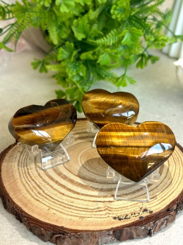 Natural Tiger's Eye · Golden Cat's Eye Reflection · Crystal for Protection, Decoration, and Collecting