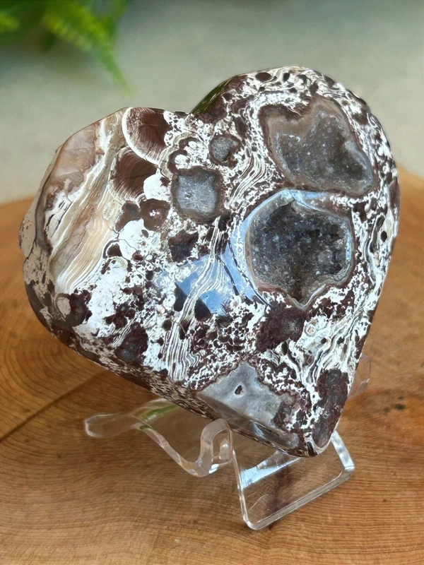 Corazon de Money Agate natural - con geodas