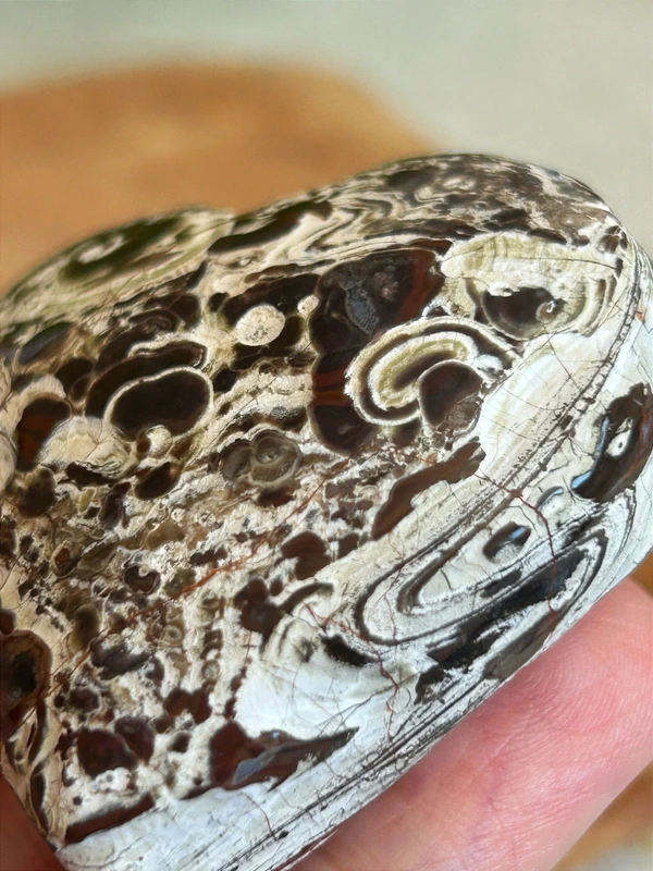 Corazon de Money Agate natural - con geodas
