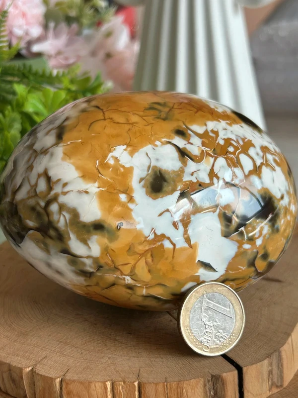 Huevo antiguo de Ocean Jasper natural - dos caras