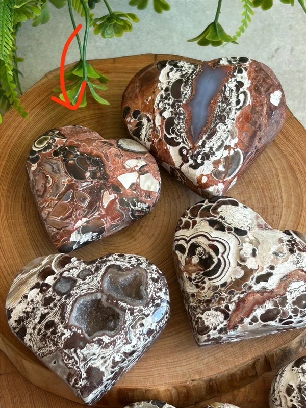 Corazon de Money Agate natural - tonos naranja