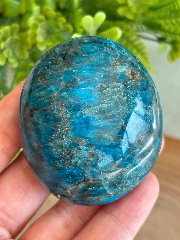 1780610665-3.webp Fosfosiderita azul real - palm stone