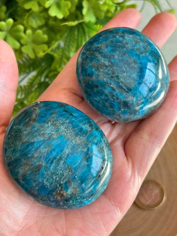 1780610665.webp Fosfosiderita azul real - palm stone