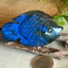 Pez de labradorita natural - destellos azul electrico