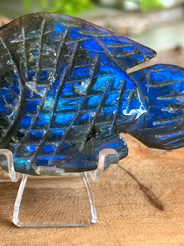 Pez de labradorita natural - destellos azul electrico